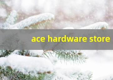 ace hardware store